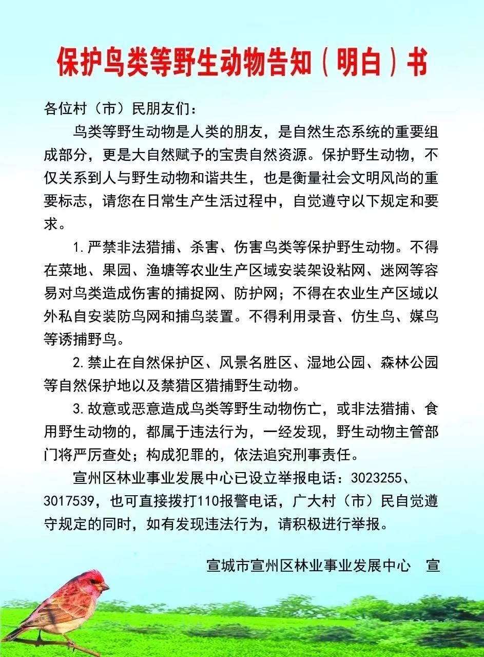 野生动物最早通知，关键信息的力量与生态影响启示录