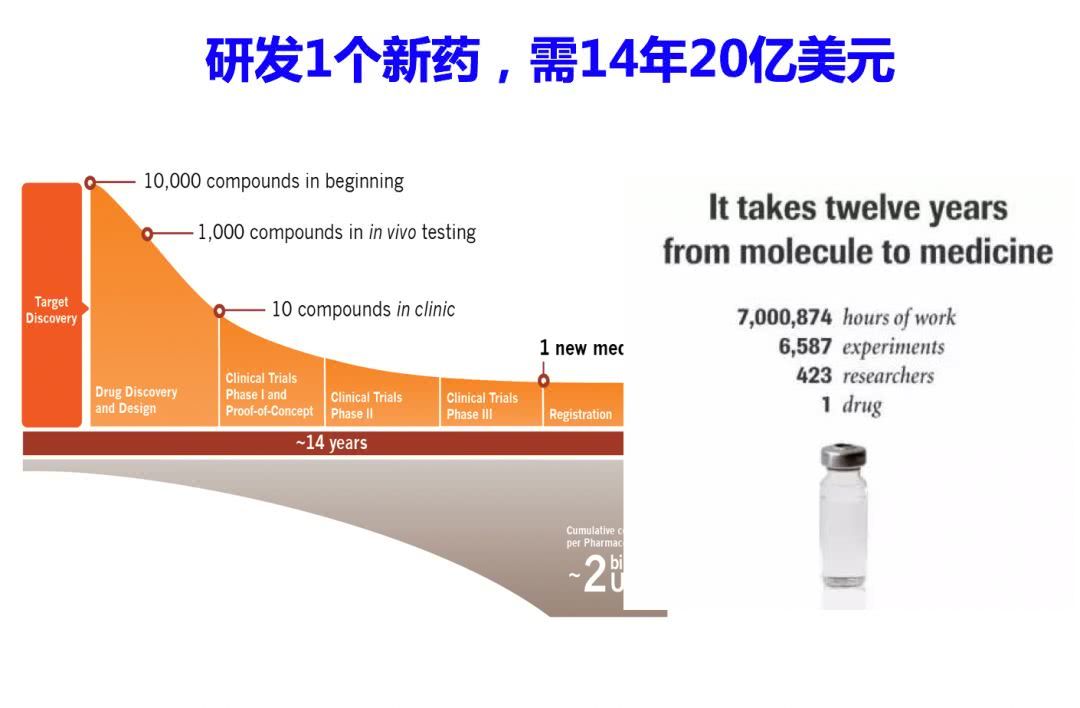 2025年3月17日 第4页